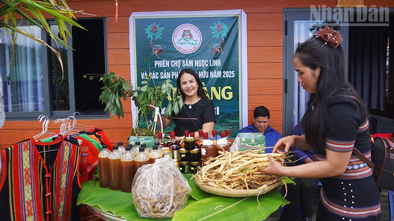 Huyện Tu Mơ Rông phát triển đa dạng các sản phẩm từ dược liệu.