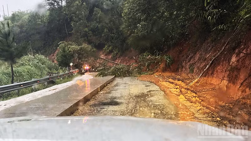 Cây gãy đổ tại tuyến đường Quốc lộ 40B.