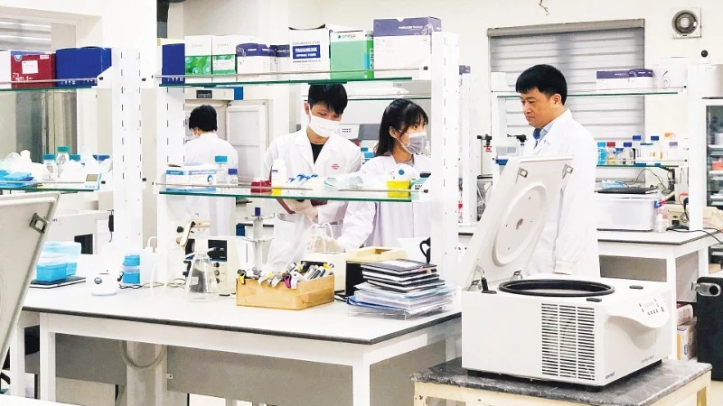 Công nghệ sinh học Việt Nam: Tiềm năng lớn nhưng phát triển chưa tương xứng