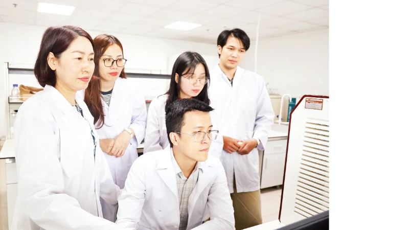 Giải mã gen tế bào gốc CD34+ mở hướng điều trị ung thư hạch