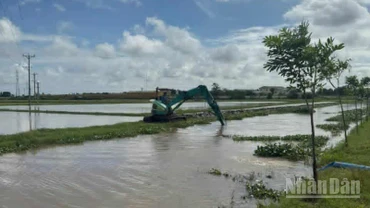 Hưng Yên đang tập trung khơi thông dòng chảy trên các tuyến kênh mương để tiêu thoát nước nhanh trong nội đồng.