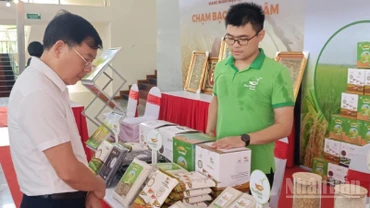 Các sản phẩm gạo chất lượng cao ở tỉnh Hưng Yên được lựa chọn hỗ trợ phát triển thương hiệu.