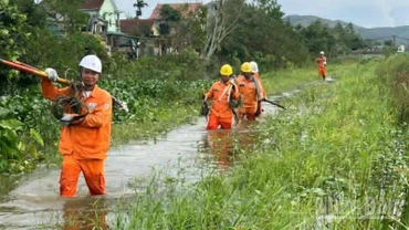 Lực lượng xung kích Công ty Điện lực Hưng Yên kéo dây, dựng cột điện băng qua các cánh đồng ngập nước ở Nghệ An.