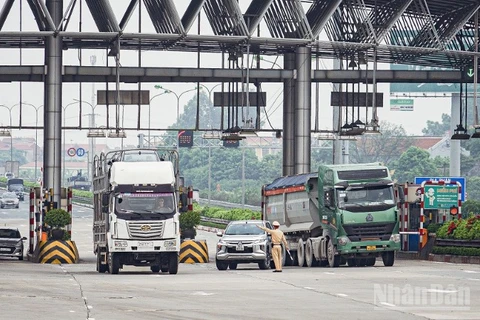 (Ảnh minh họa: Kim Cương)