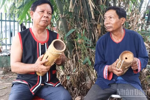 Hai nghệ nhân Tà Thía Panh và Tà Thía Ca (xã Phước Hà, tỉnh Khánh Hòa) đang hòa tấu làn điệu độc đáo của đàn Chapi, như đang trò chuyện với núi rừng bằng thứ ngôn ngữ đã gắn bó với người Raglai qua bao thế hệ. (Ảnh: NGUYỄN TRUNG)