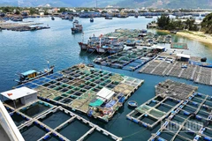 Ngành thủy sản góp phần đưa Gia Lai phát triển ổn định, bền vững và hiệu quả