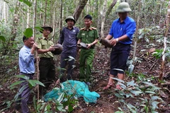 Chuẩn bị thả động vật rừng quý hiếm về tự nhiên.
