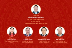 [Infographic] Đại hội đại biểu Đảng bộ tỉnh Ninh Bình lần thứ I, nhiệm kỳ 2025-2030