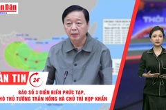 [Video] Thời sự 24h ngày 20/7/2025: Bão số 3 diễn biến phức tạp, Phó Thủ tướng Trần Hồng Hà chủ trì họp khẩn