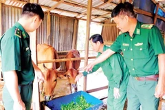 Cán bộ Đồn Biên phòng Đắk Ơ thăm hỏi các hộ dân được tặng bò giống.