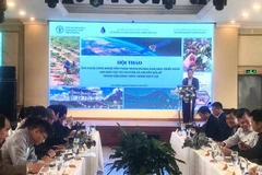 Quang cảnh hội thảo.