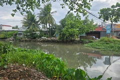 Một đoạn rạch Đầu Sấu.