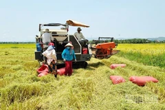 Nước tưới tiêu đến tận ruộng đồng giúp người dân có những mùa bội thu.