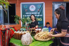 Huyện Tu Mơ Rông phát triển đa dạng các sản phẩm từ dược liệu.
