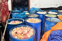 Gần 100 phi nhựa loại 200 lít chứa da, mỡ lợn đang trong tình trạng phân hủy.