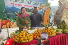 Livestream bán hàng cam, quýt tại Ngày hội. (Ảnh: DUY KHÁNH)