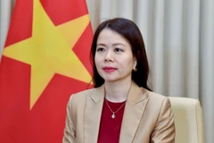 Thứ trưởng Ngoại giao Nguyễn Minh Hằng. (Ảnh: Bộ Ngoại giao)