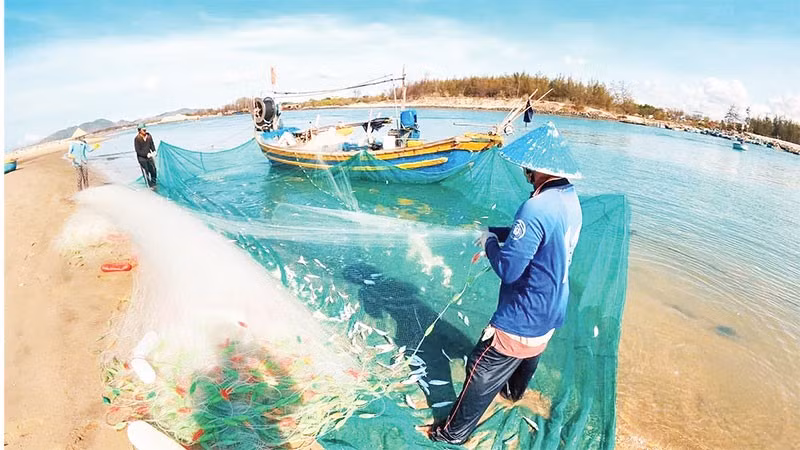 Các làng chài ở phía đông Thành phố Hồ Chí Minh cung cấp nguồn hải sản lớn cho địa phương.