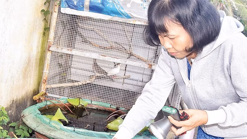 Biện pháp phòng bệnh sốt xuất huyết hiệu quả nhất vẫn là diệt muỗi, diệt lăng quăng/bọ gậy và tránh muỗi đốt. (Ảnh: BÁO NHÂN DÂN)