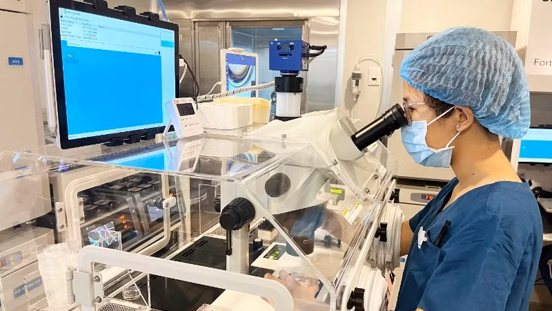 Cấy trứng vào môi trường nuôi cấy trứng non đặc biệt.