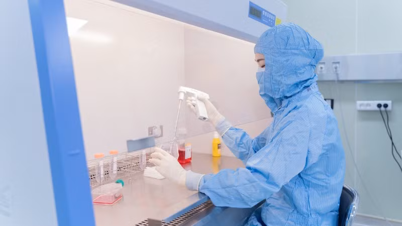 Một công đoạn trong quá trình tăng sinh tế bào miễn dịch tại Vinmec.