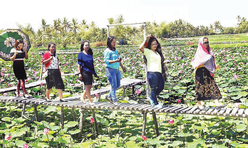 Mô hình farmstay kết hợp với không gian cắm trại, ẩm thực dân dã đã tạo nên sản phẩm du lịch mới mẻ cho Khánh Hòa.