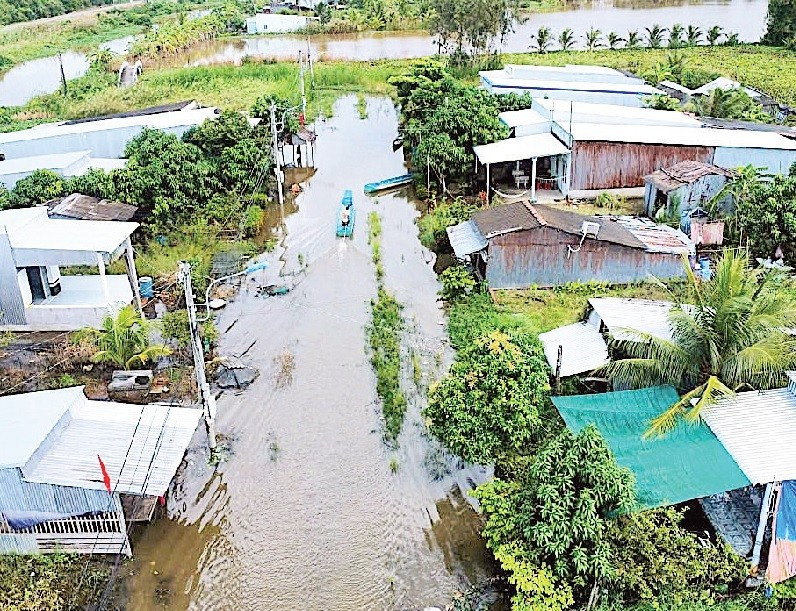 Một góc khu tái định cư Kênh Tư (ấp Lung Tràm, xã Khánh Hưng) bị ngập úng.