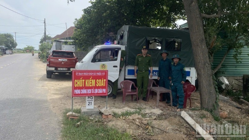 Lực lượng chức năng xã Triệu Cơ lập chốt kiểm soát dịch bệnh động vật. ndo_br_ta-lon-5-2613.jpg