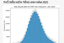 Phổ điểm Tiếng Anh thi tốt nghiệp THPT năm 2025 đẹp, cân đối