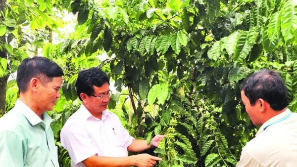 Lãnh đạo xã Phú Vinh (tỉnh Đồng Nai) sâu sát gắn bó với nông dân, tích cực đưa nghị quyết vào sản xuất nông nghiệp, xây dựng nông thôn mới.