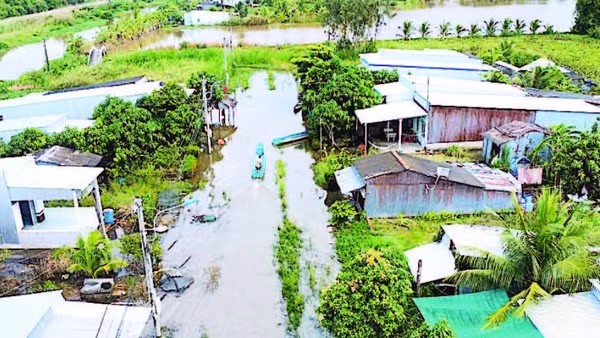 Một góc khu tái định cư Kênh Tư (ấp Lung Tràm, xã Khánh Hưng) bị ngập úng.