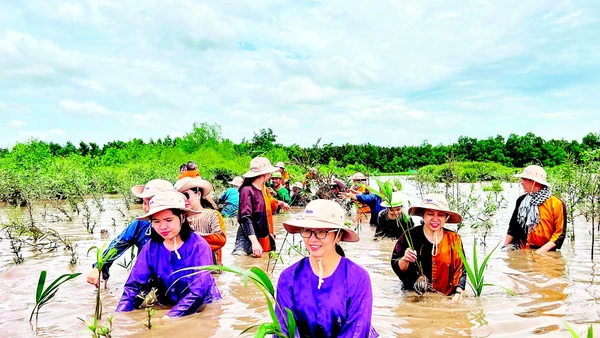 Người dân đầu tư, phát triển du lịch sinh thái bên cù lao Lá (ấp Tân Quý, xã Mỹ Chánh Hòa, tỉnh Vĩnh Long).