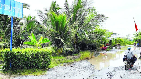 Mặt đường ô-tô về trung tâm xã Tân Tiến hầu như không còn chỗ lành, phương tiện lưu thông phải nhích từng chút vì không còn con đường nào khác về xã.