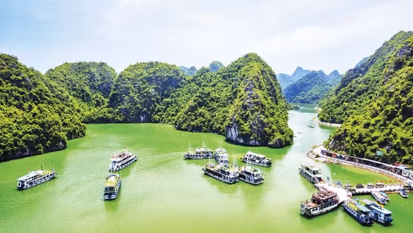 Sức hút từ danh hiệu Di sản thiên nhiên thế giới giúp du lịch Cát Bà có bước tăng trưởng lớn (Ảnh XUÂN THỦY)