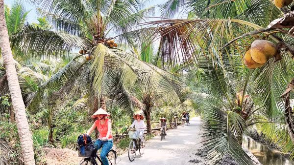 Tỉnh Vĩnh Long phát triển du lịch theo hướng xanh, bền vững.