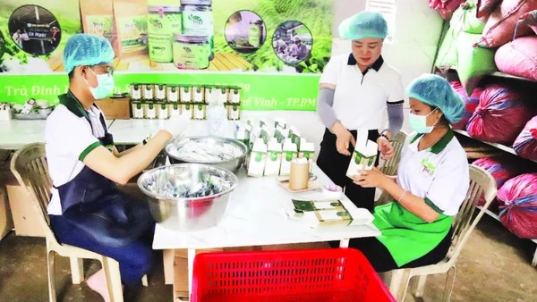 Bà Hoàng Thị Ngát (người đứng giữa) Giám đốc Hợp tác xã Trà thảo mộc Cô Ngát Natural hướng dẫn các nhân viên là người khuyết tật kỹ thuật đóng gói hộp trà.