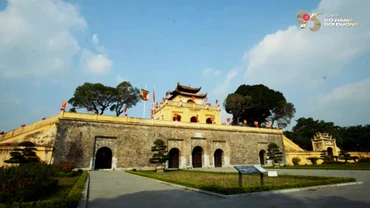 Việt Nam - 95 năm tự hào dưới cờ Đảng soi đường