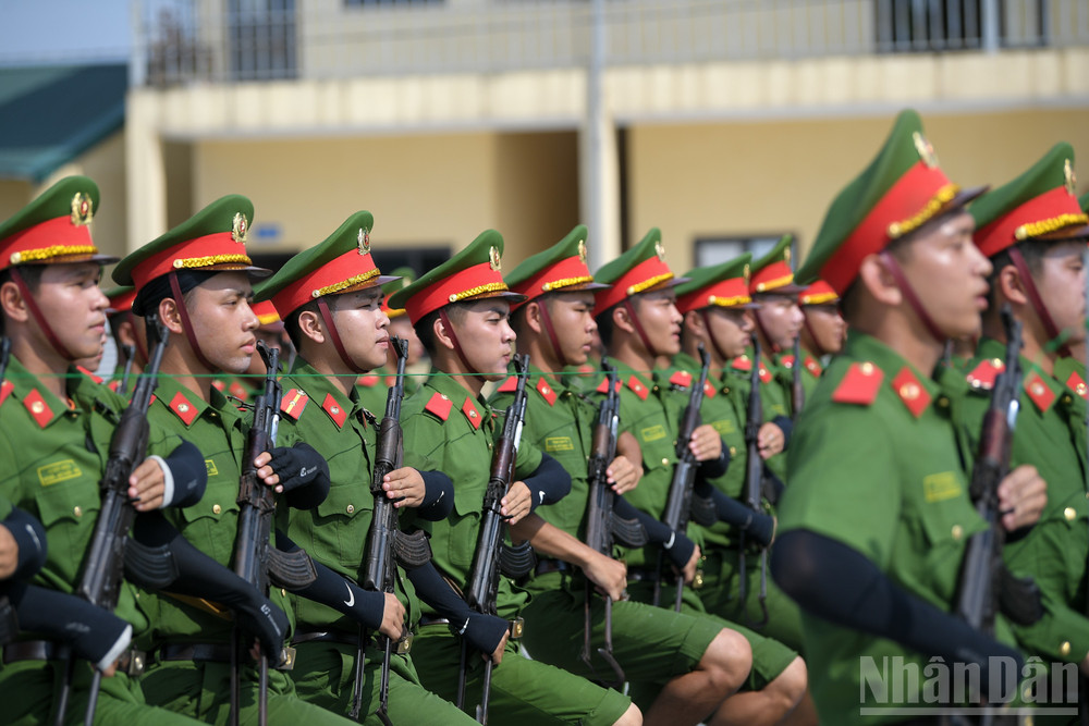 ndo_br_a80-chuong-my-9333.jpg