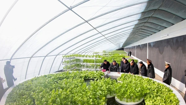 [Video] Triều Tiên khánh thành trang trại nhà kính có quy mô kỷ lục