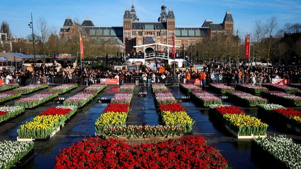 [Video] Điểm đặc biệt của lễ hội hoa Tulip Hà Lan 2026