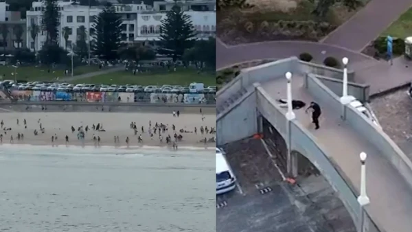 [Video] Australia ngăn chặn âm mưu bạo lực mới sau vụ thảm sát ở Bondi