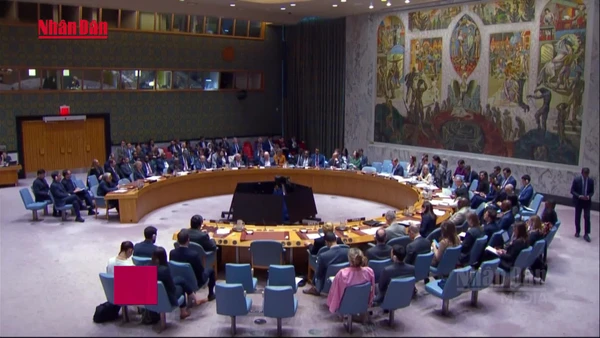 [Video] Vai trò mờ nhạt của Hội đồng bảo an LHQ trong xử lí xung đột quốc tế