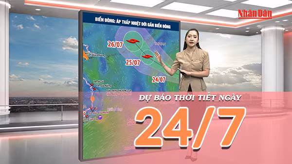 [Video] Dự báo thời tiết ngày 24/7/2026: Mưa lớn bao phủ Bắc Bộ, Trung Bộ dịu nắng