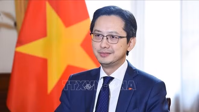 Đại sứ Đỗ Hùng Việt. (Ảnh: TTXVN)