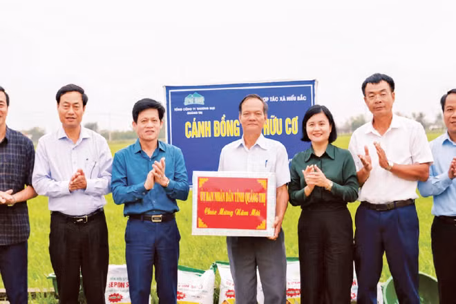 Lãnh đạo tỉnh Quảng Trị và Sở Nông nghiệp và Môi trường thăm mô hình liên kết sản xuất lúa hữu cơ tại xã Hiếu Giang.