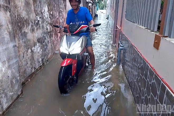 Nước ngập len lỏi vào tận các ngõ hẻm phường Bạc Liêu, tỉnh Cà Mau, gây xáo trộn cuộc sống của người dân.
