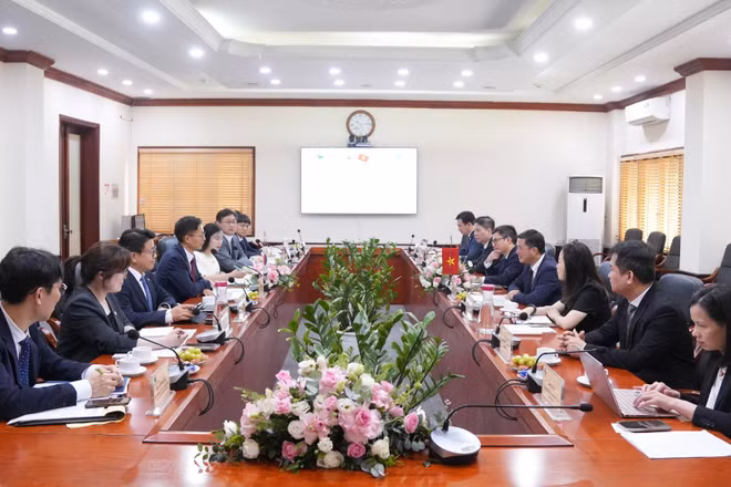 Toàn cảnh buổi làm việc giữa Cục Sở hữu trí tuệ Việt Nam và Bộ Sở hữu trí tuệ Hàn Quốc (MOIP).