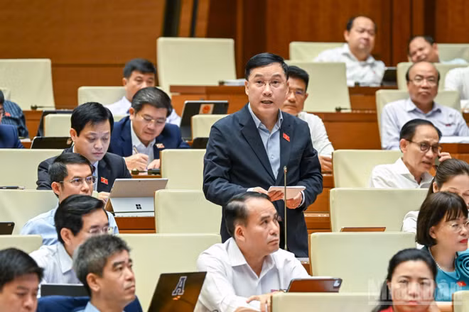 Đại biểu Quốc hội Lê Hoàng Anh (Đoàn Gia Lai) nêu ý kiến trong phiên thảo luận ở hội trường sáng 21/4. (Ảnh: DUY LINH)