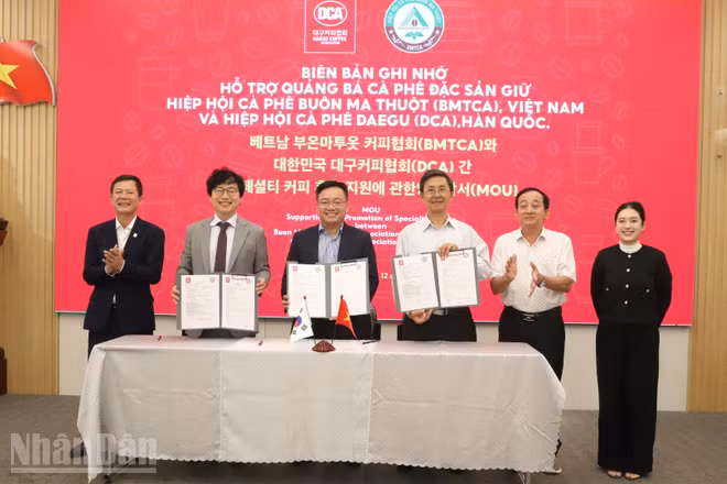 Hiệp hội Cà-phê Buôn Ma Thuột và Hiệp hội Cà-phê Daegu cùng thương hiệu MISS EDE ký kết biên bản ghi nhớ hỗ trợ quảng bá cà-phê đặc sản.