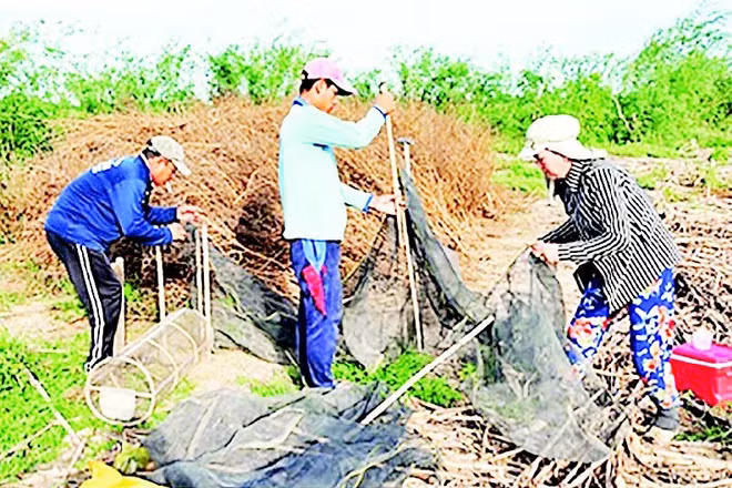 Mô hình du lịch trải nghiệm, kiểm soát chuột bằng chất chà chuột.